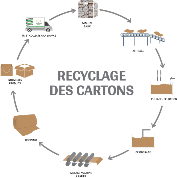 Le carton est éco-responsable le saviez-vous ?